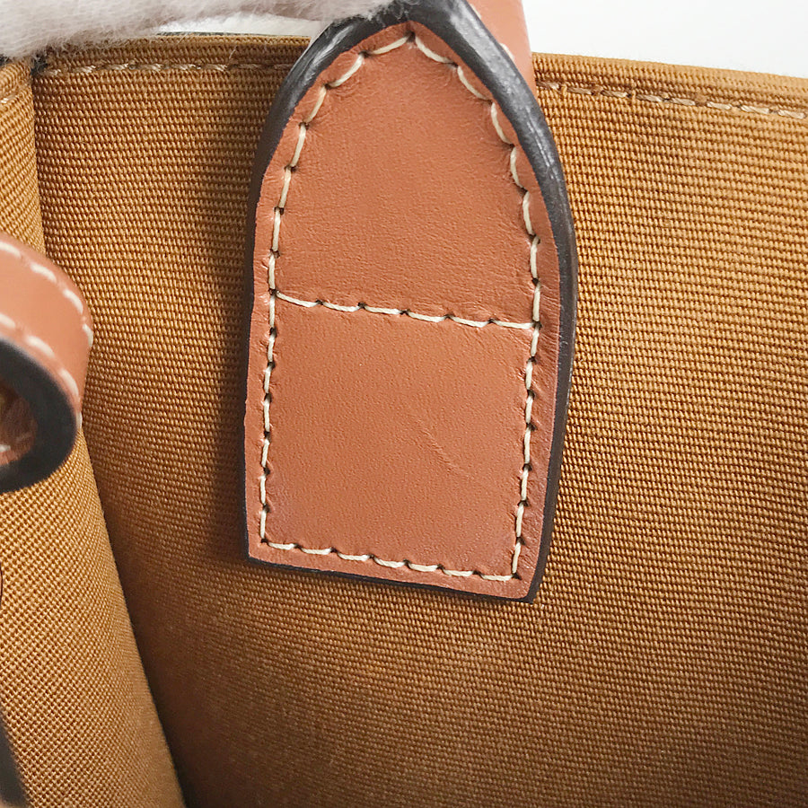 CELINE Triomphe Vertical hippo Hand bag