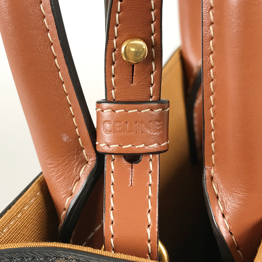CELINE Triomphe Vertical hippo Hand bag