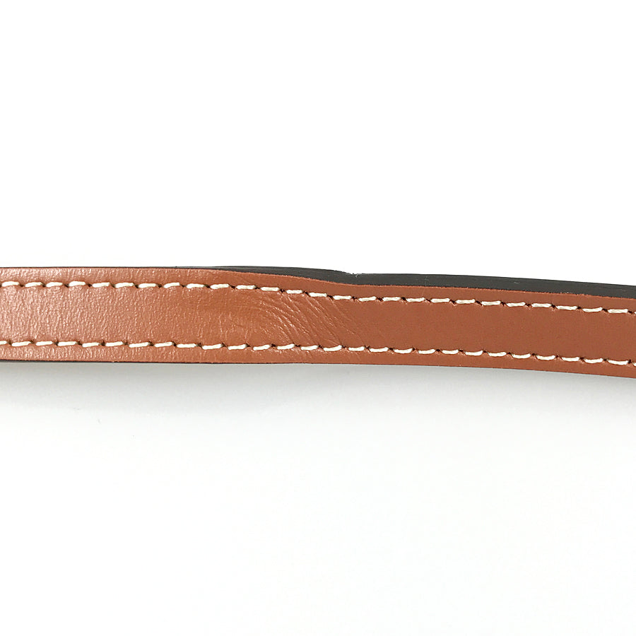 CELINE Triomphe Vertical hippo Hand bag
