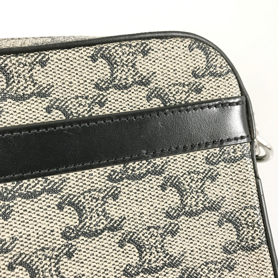 CELINE Triomphe Small Messenger Shoulder bag
