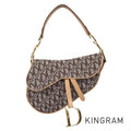 Dior Trotter Saddle bag Shoulder bag