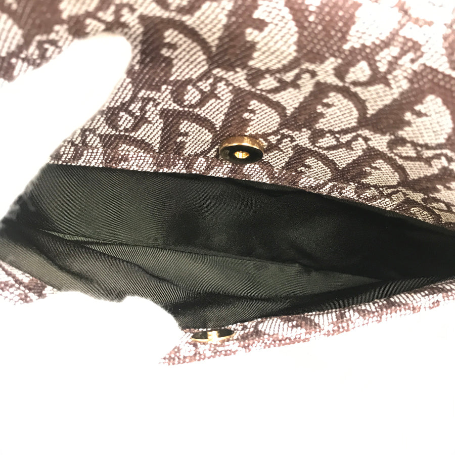 Dior Trotter Saddle bag Shoulder bag
