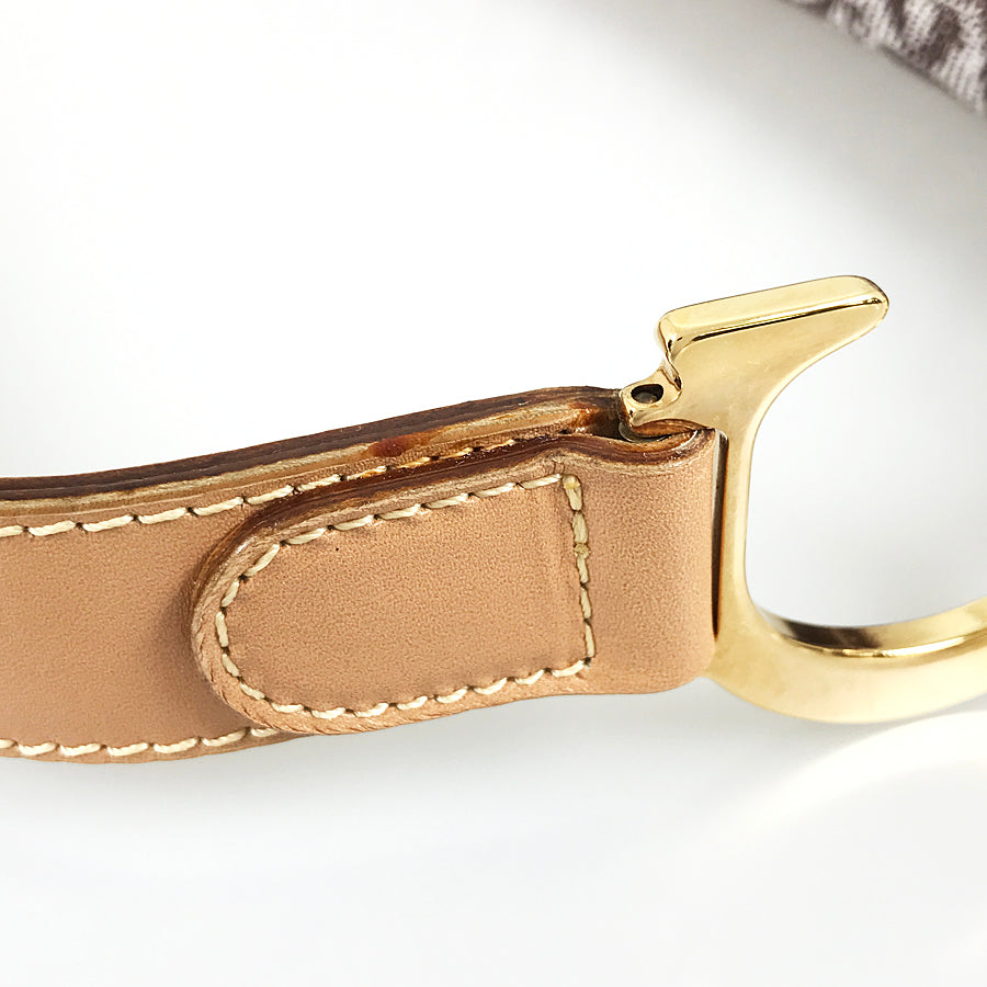 Dior Trotter Saddle bag Shoulder bag