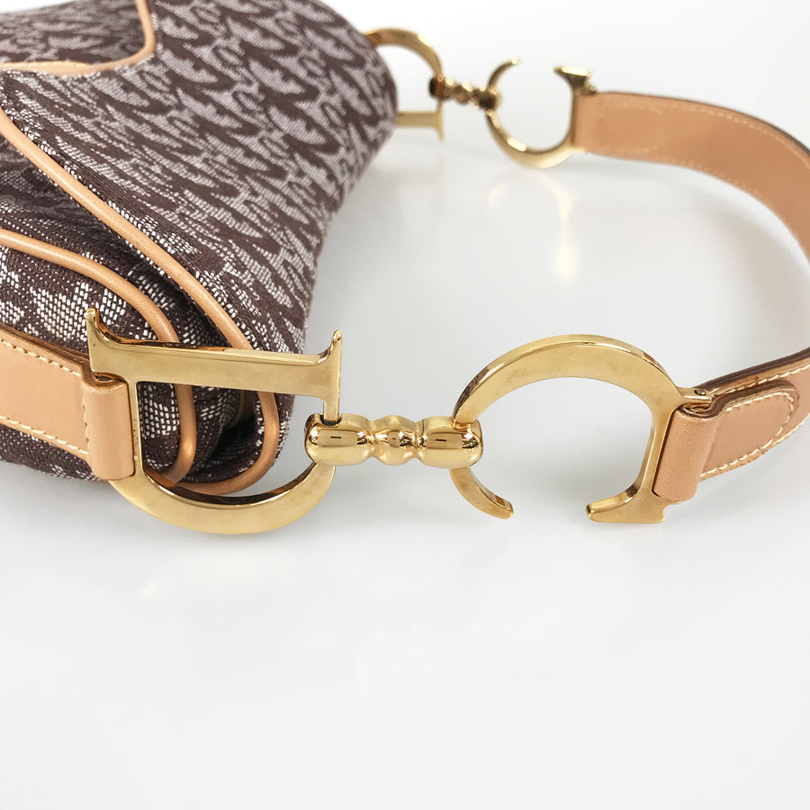 Dior Trotter Saddle bag Shoulder bag