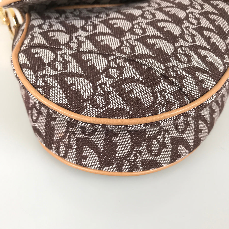Dior Trotter Saddle bag Shoulder bag
