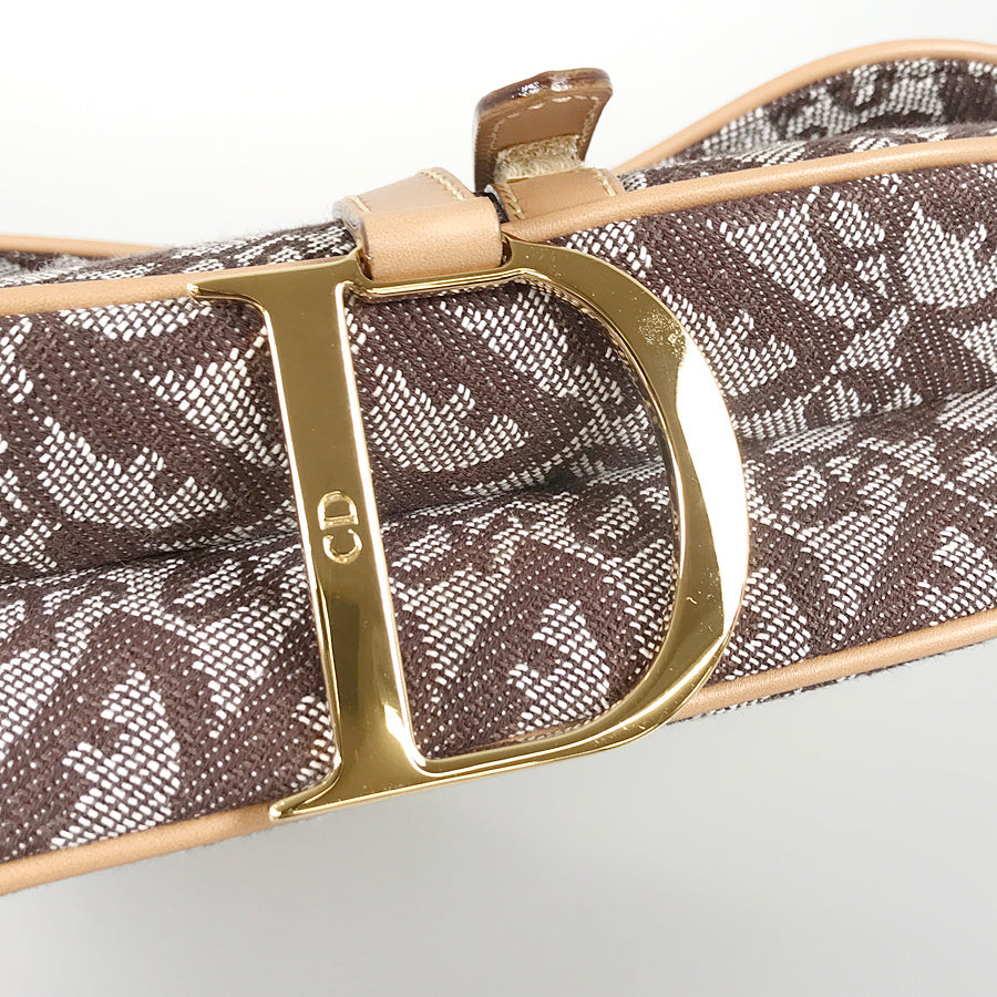 Dior Trotter Saddle bag Shoulder bag