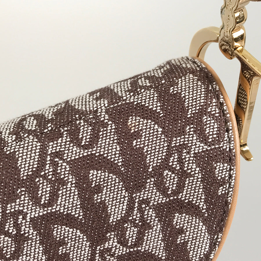 Dior Trotter Saddle bag Shoulder bag