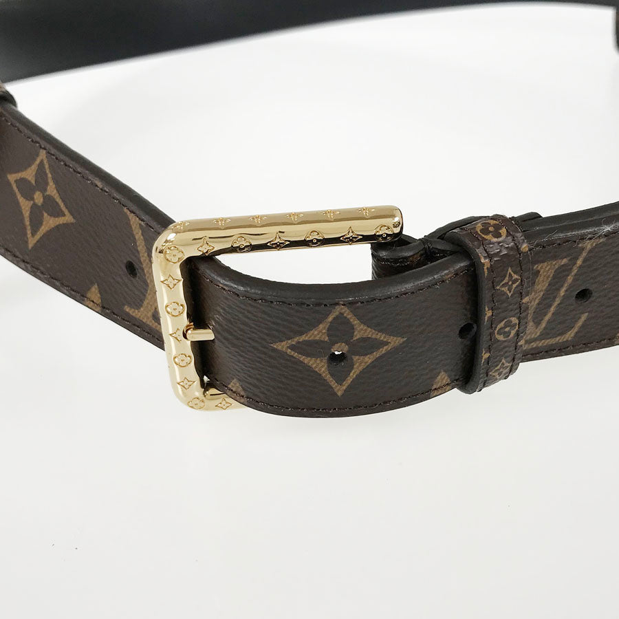 LOUIS VUITTON Monogram Santur Daily M0236U Waist pouch