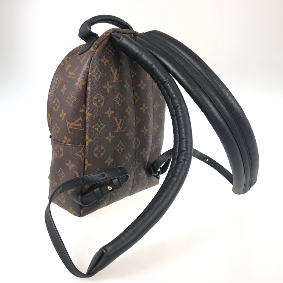 LOUIS VUITTON Monogram Reverse Palm Springs Backpack PM M44870 Backpack