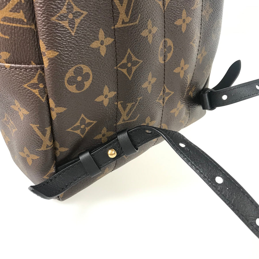 LOUIS VUITTON Monogram Reverse Palm Springs Backpack PM M44870 Backpack