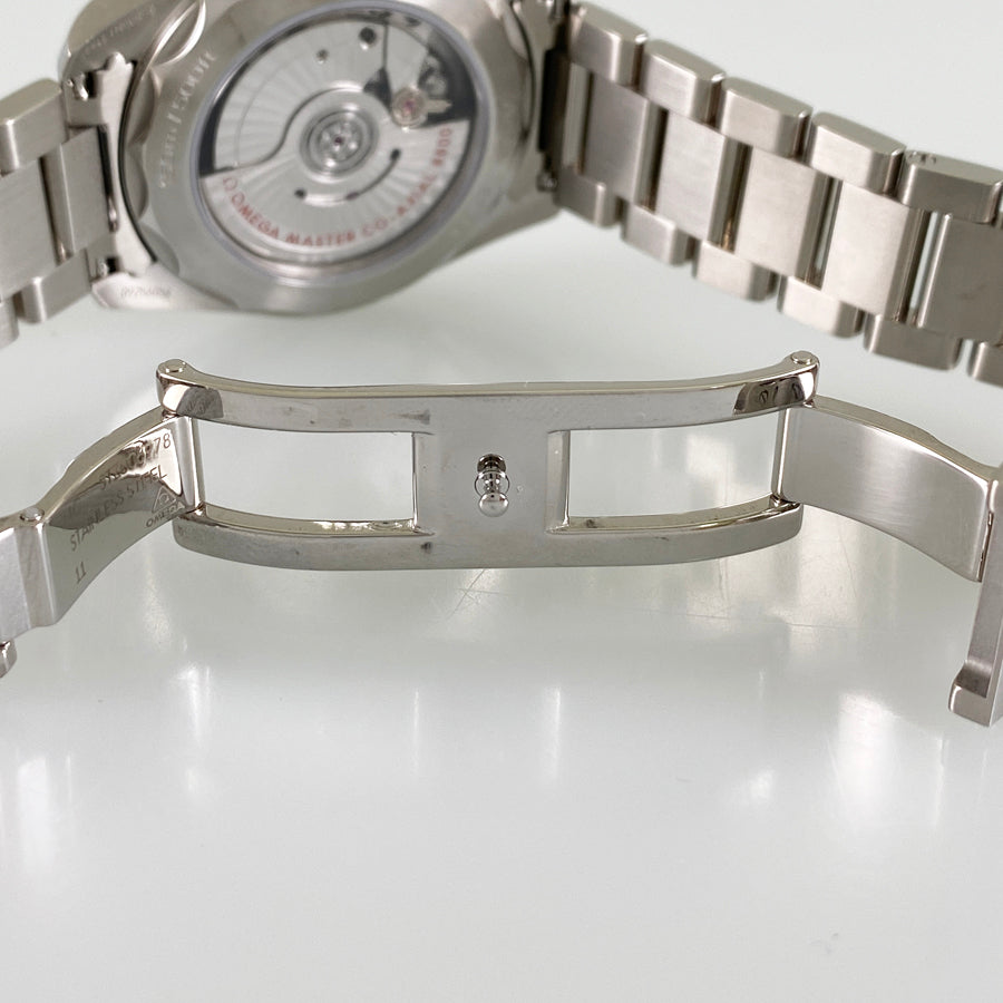 OMEGA Seamaster Aquaterra 150M 220.10.38.20.03.001 Men's Watch