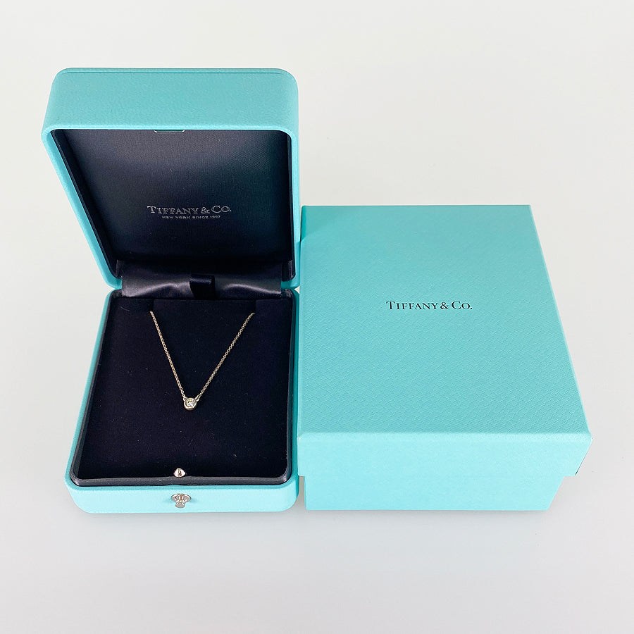 TIFFANY&Co. By The Yard Necklace