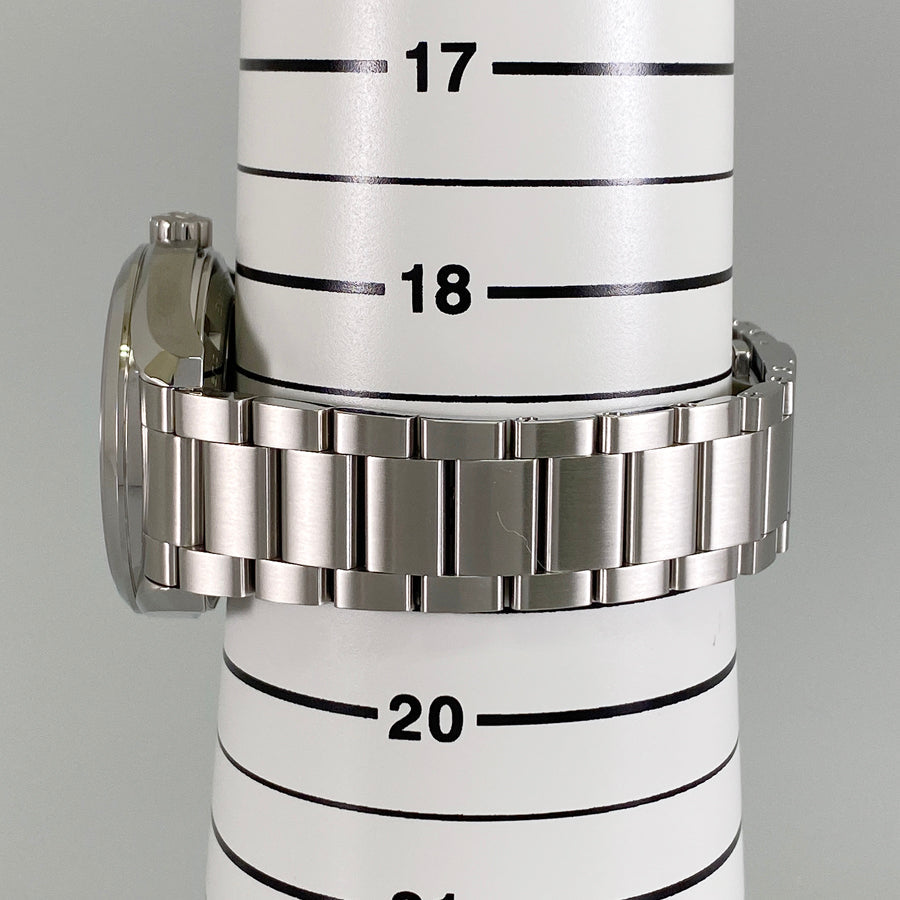 OMEGA Seamaster Aquaterra 150M Co-Axial 231.10.42.21.06.001 Men's Watch