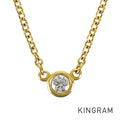 TIFFANY&Co. By The Yard Necklace