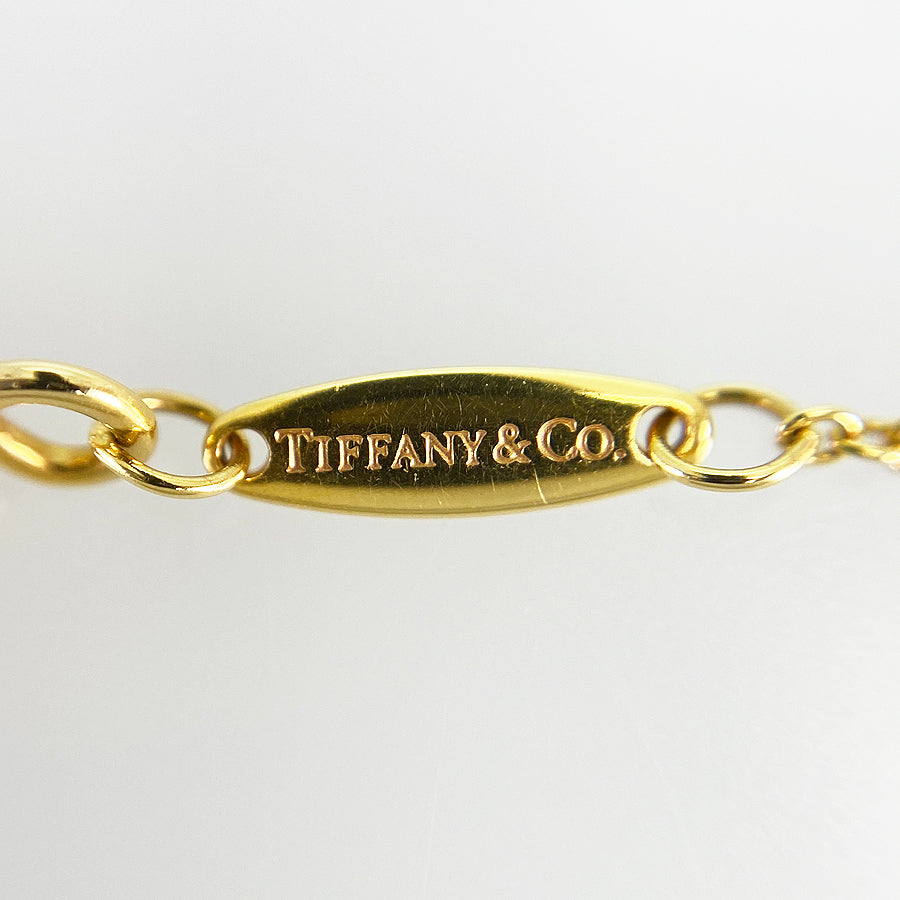 TIFFANY&Co. By The Yard Necklace