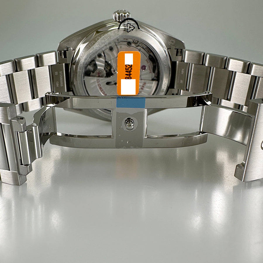 OMEGA Seamaster Aquaterra 150M 220.10.41.21.02.002 Men's Watch
