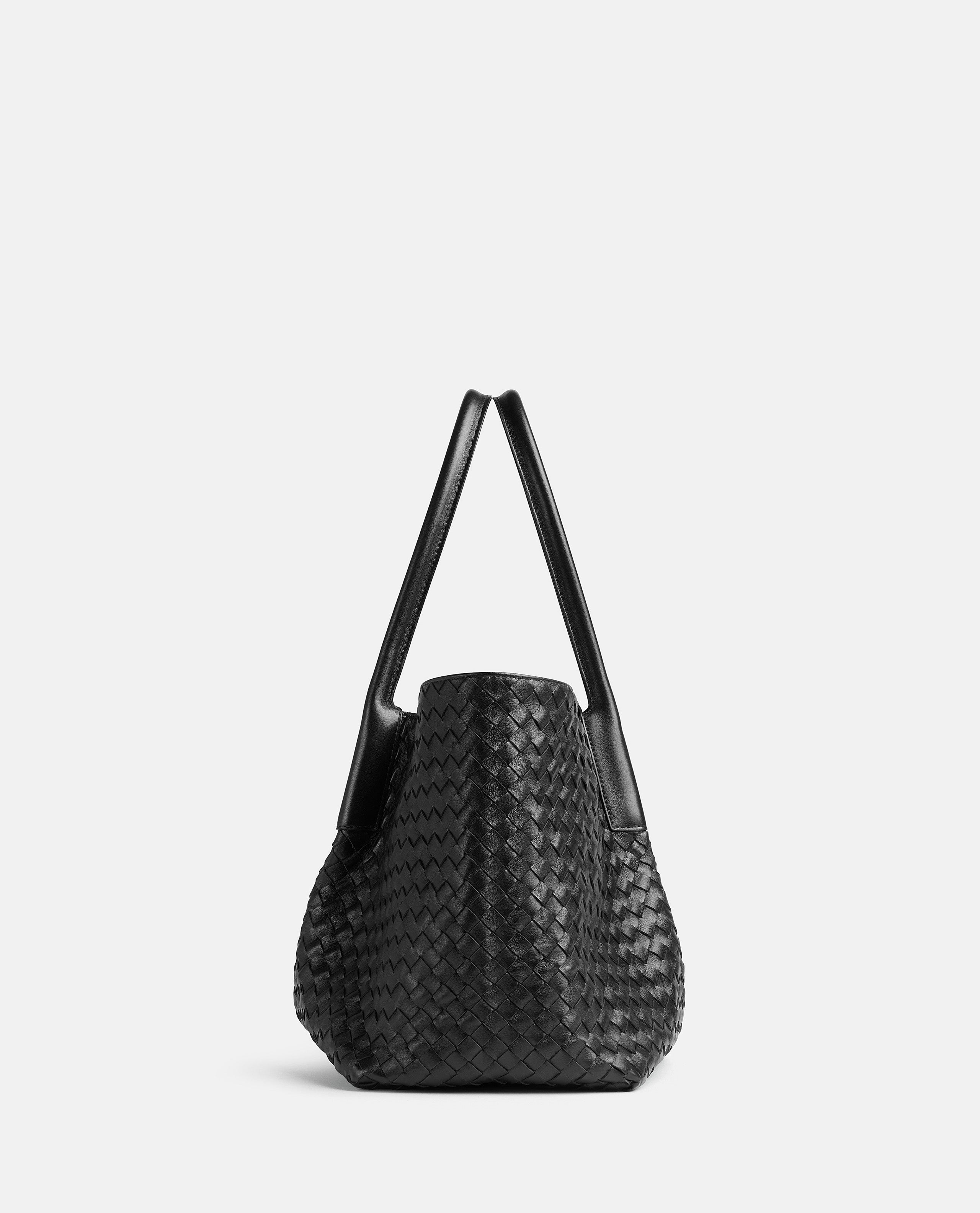 Bottega Veneta Women Pinacoteca Large Tote Bag