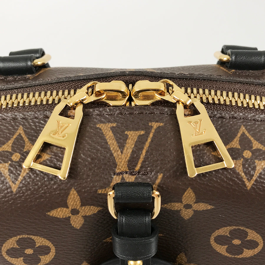 LOUIS VUITTON Monogram Petite Malle Souple M45571 Hand bag