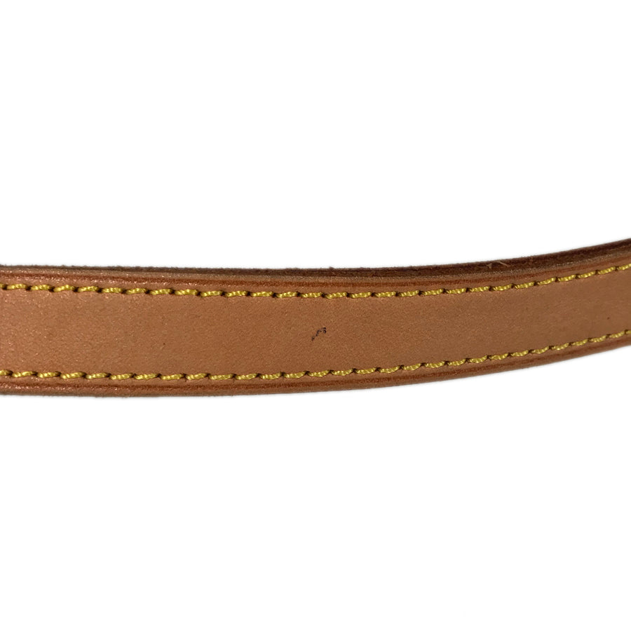 LOUIS VUITTON Monogram Sologne M42250 Shoulder bag