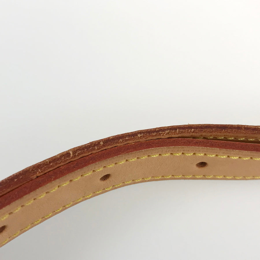 LOUIS VUITTON Monogram Sologne M42250 Shoulder bag