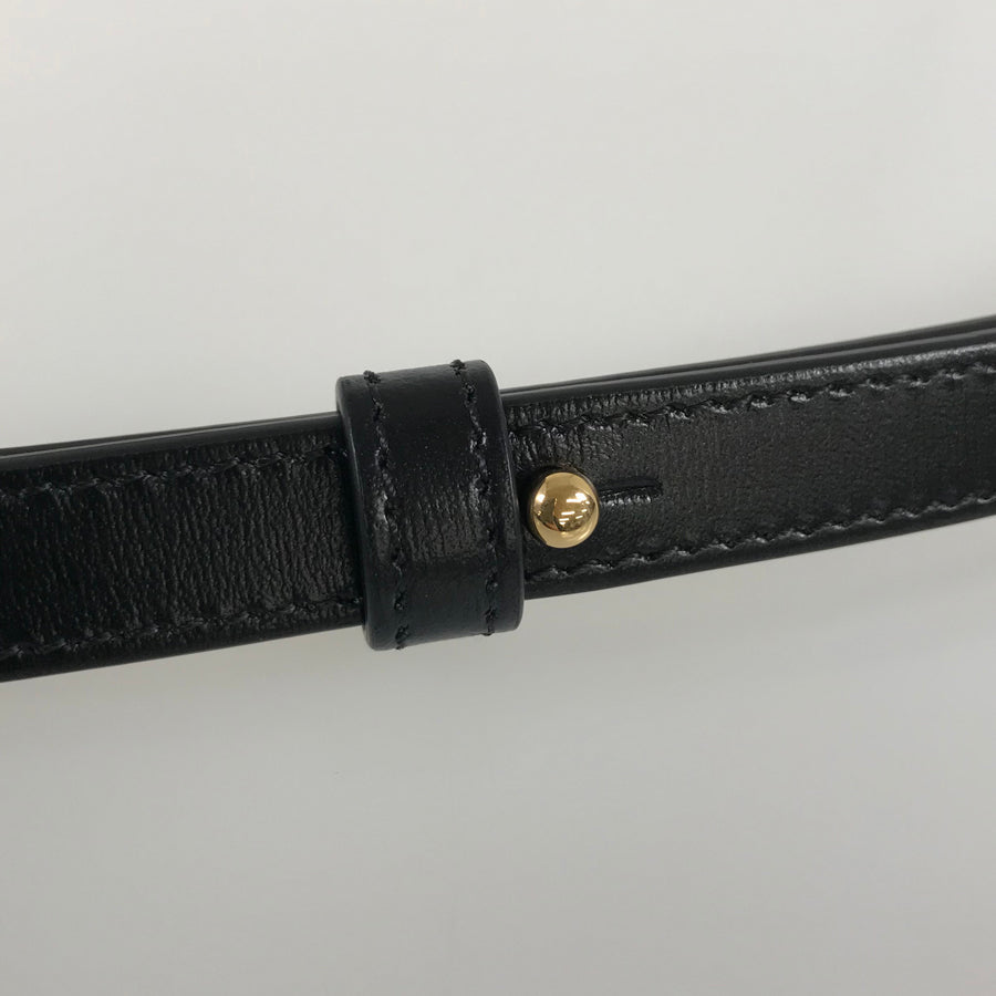 CELINE Triomphe mini claude Shoulder bag