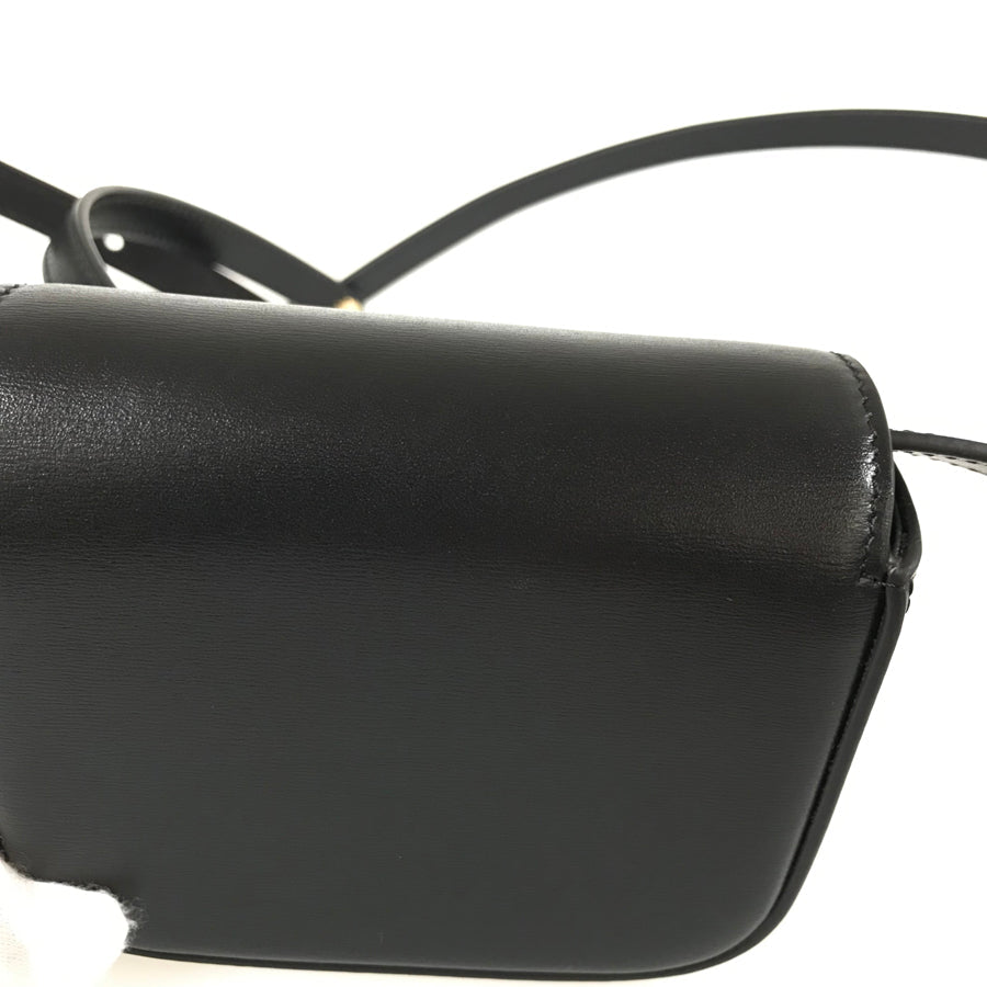 CELINE Triomphe mini claude Shoulder bag