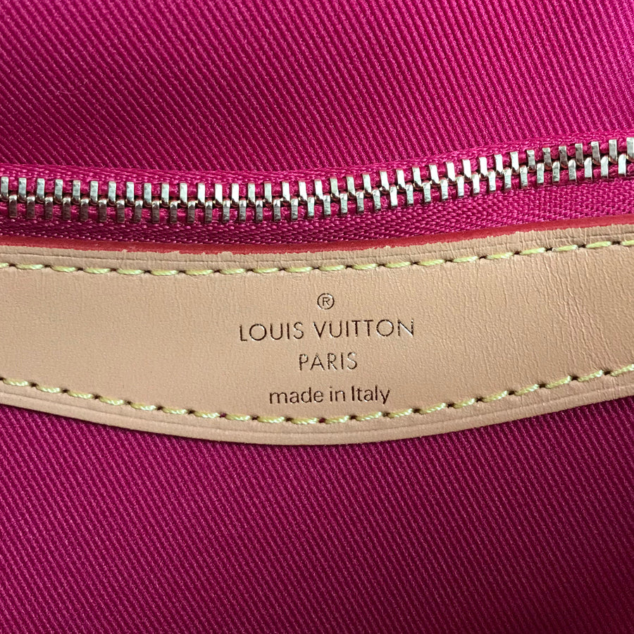 LOUIS VUITTON Monogram Diane NM PM M46049 Shoulder bag