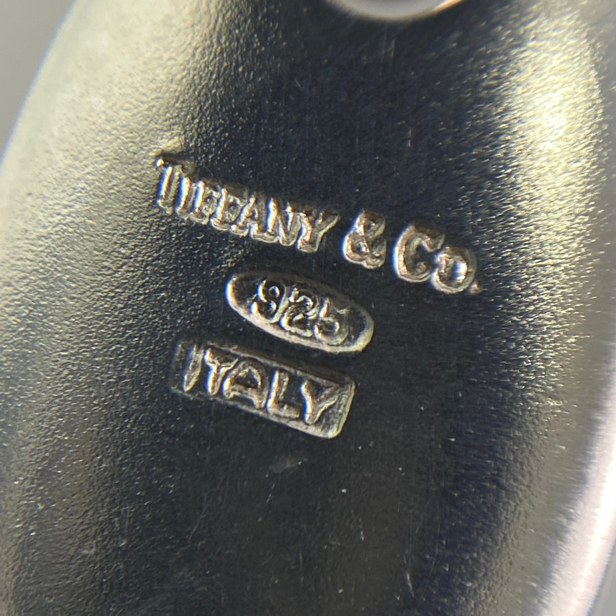 TIFFANY&Co. Pebble Link Necklace