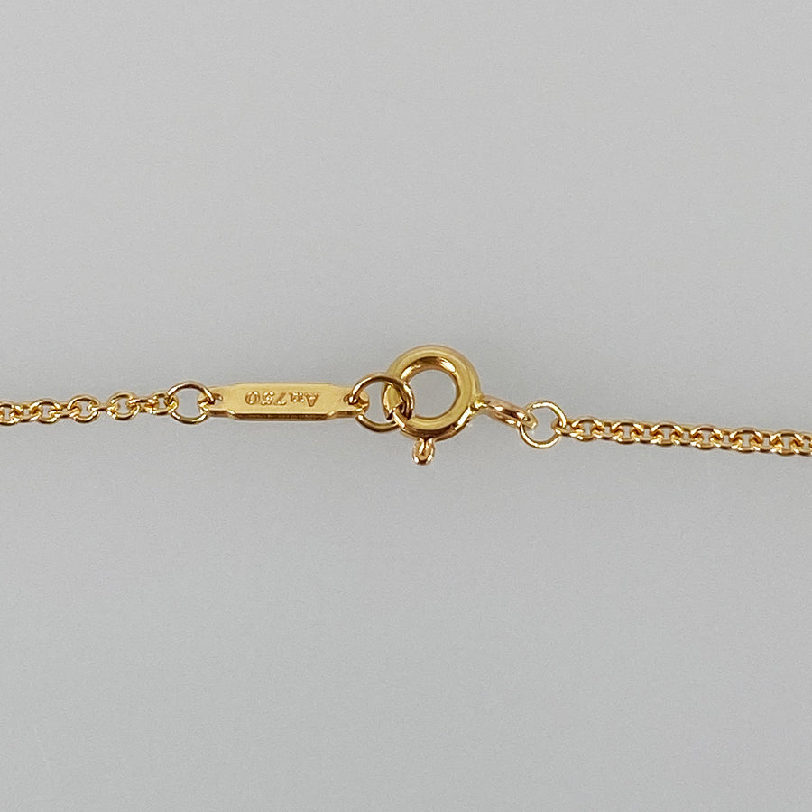 TIFFANY&Co. Tag Chain Necklace