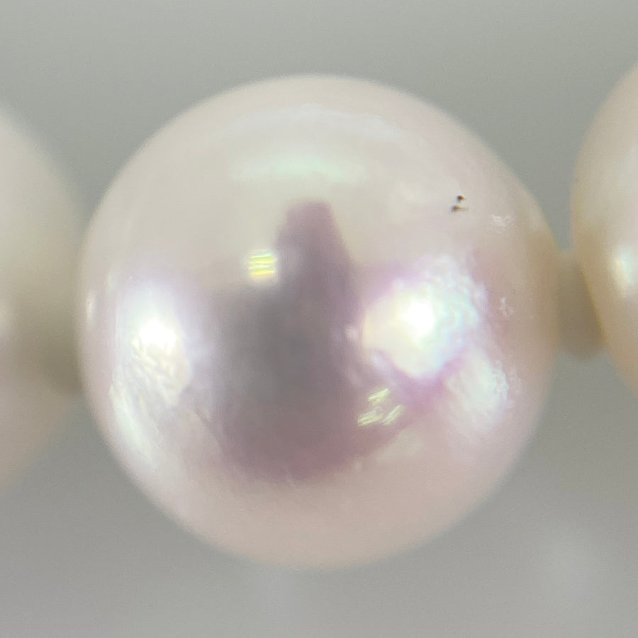 Necklace Silver Akoya Pearl