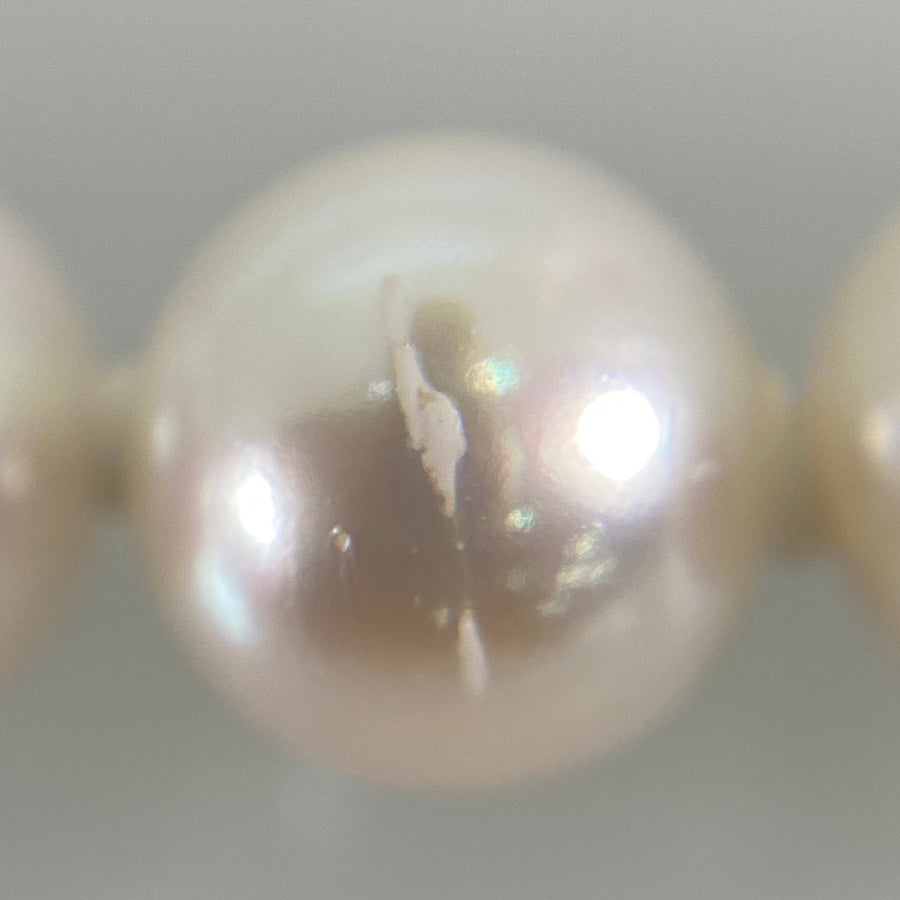 Necklace Silver Akoya Pearl