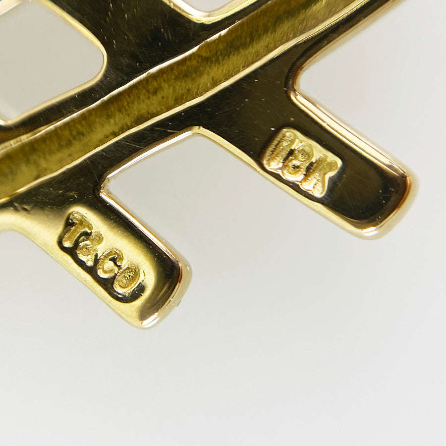 TIFFANY&Co. Paloma Picasso Earring
