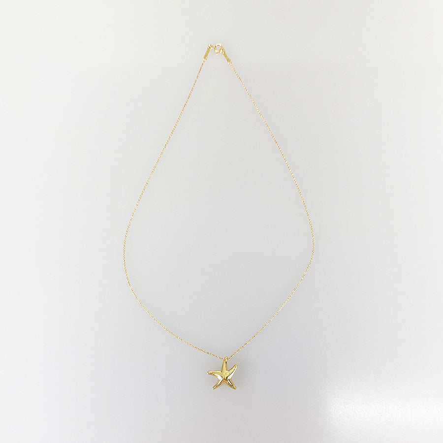 TIFFANY&Co. Star fish Necklace