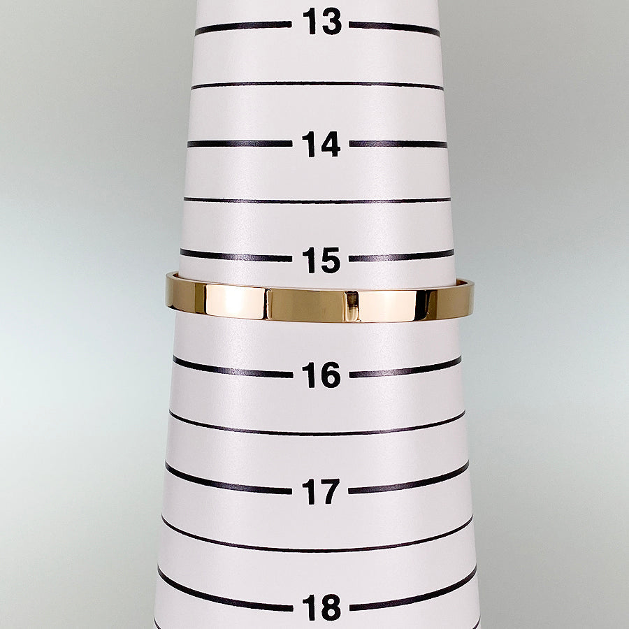 HERMES Collier de Chien Bracelet