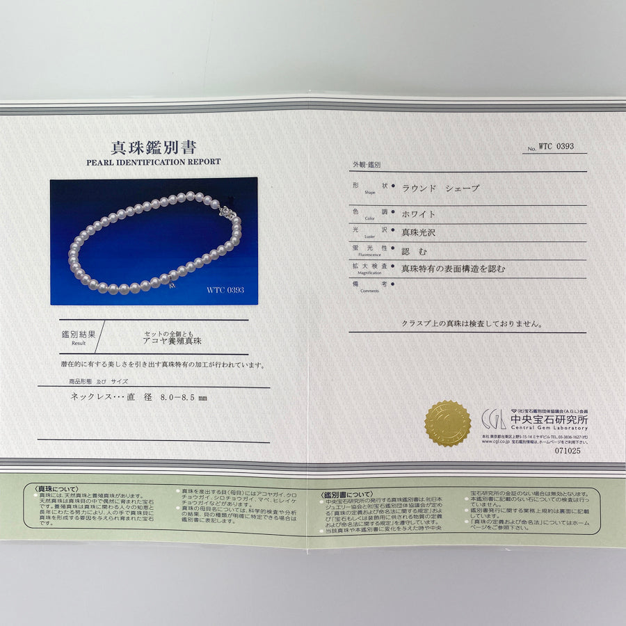 MIKIMOTO M charm Necklace