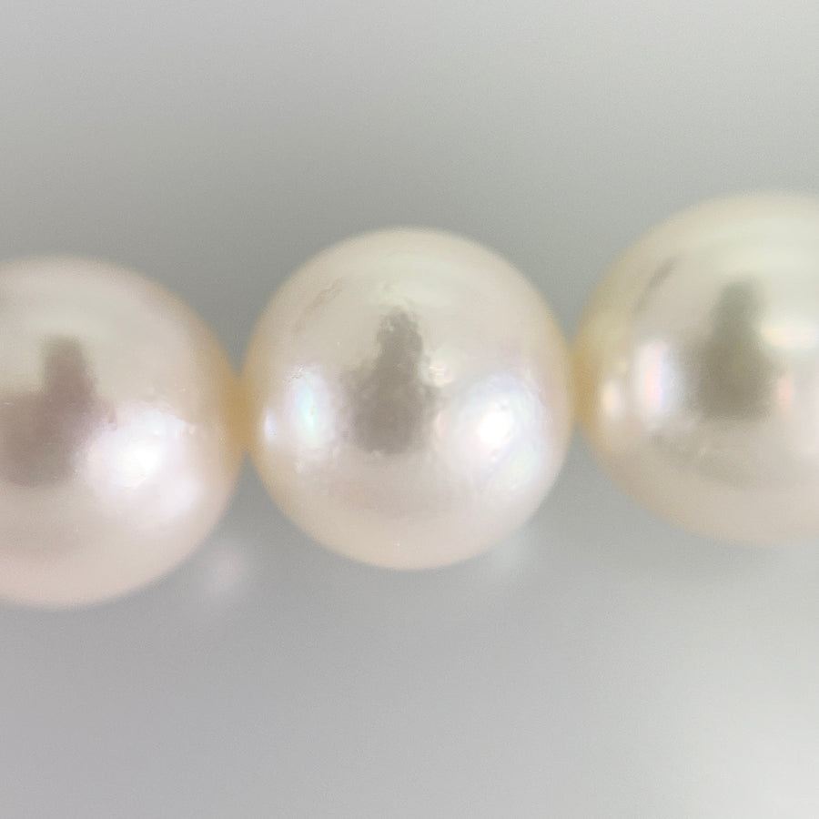Necklace Silver Akoya Pearl