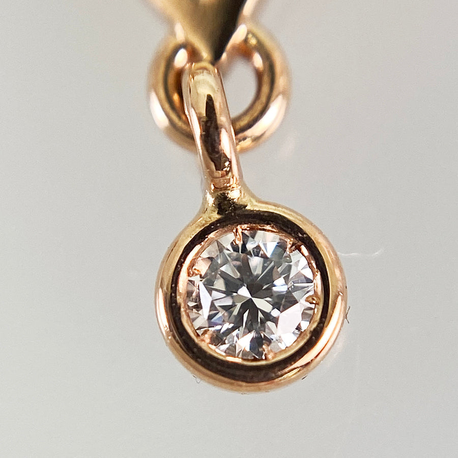 HERMES Earring