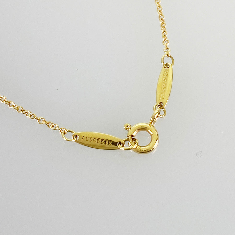 TIFFANY&Co. By The Yard Necklace
