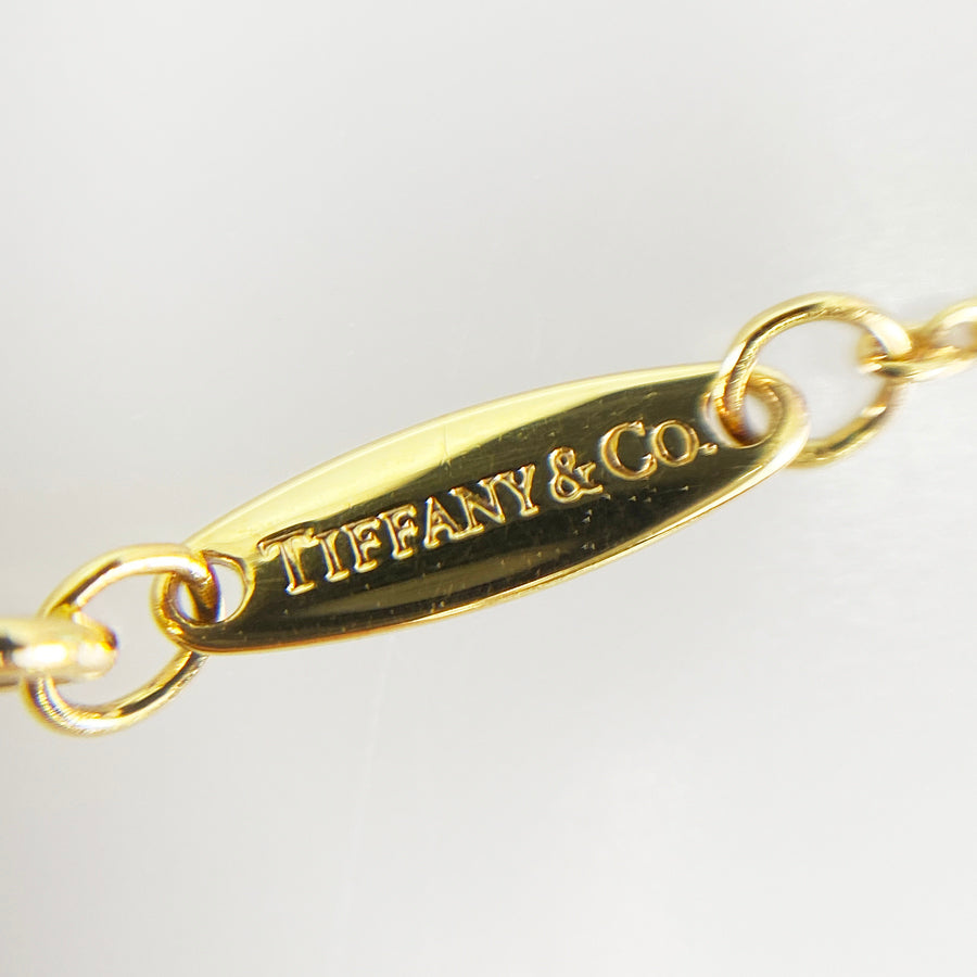 TIFFANY&Co. By The Yard Necklace