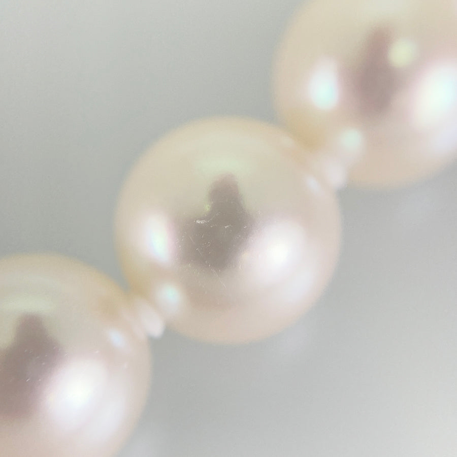 Necklace Silver White gold Akoya Pearl