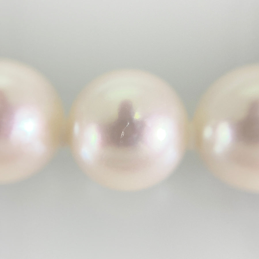 Necklace Silver White gold Akoya Pearl
