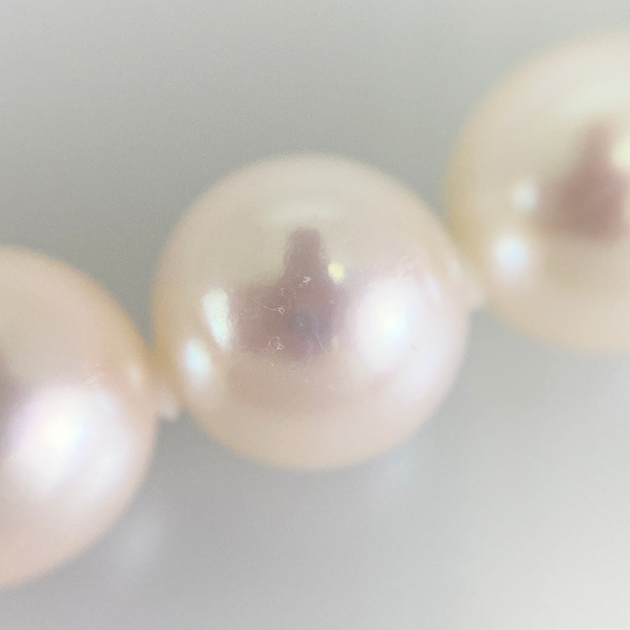 Necklace Silver White gold Akoya Pearl