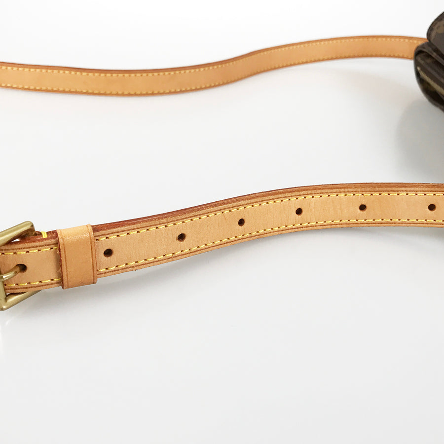LOUIS VUITTON Monogram Viva Cite PM M51165 Shoulder bag