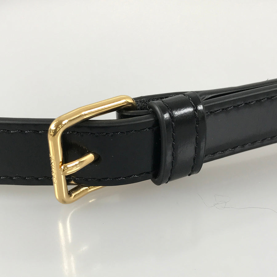 CELINE Triomphe Classic Shoulder bag