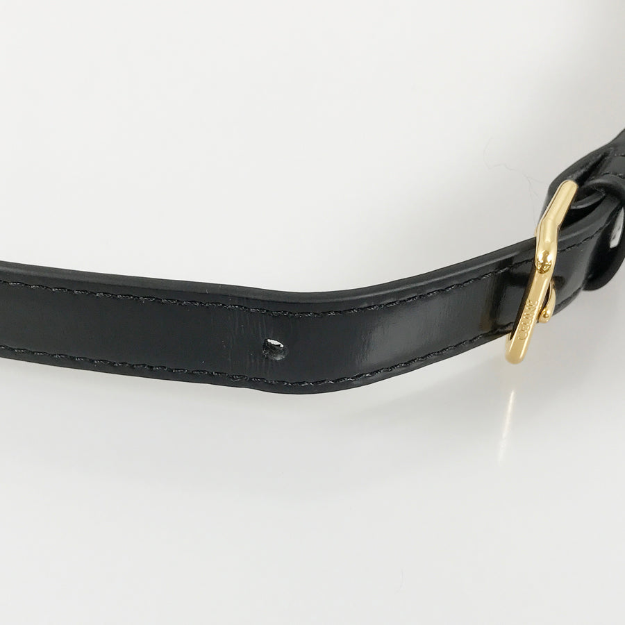 CELINE Triomphe Classic Shoulder bag