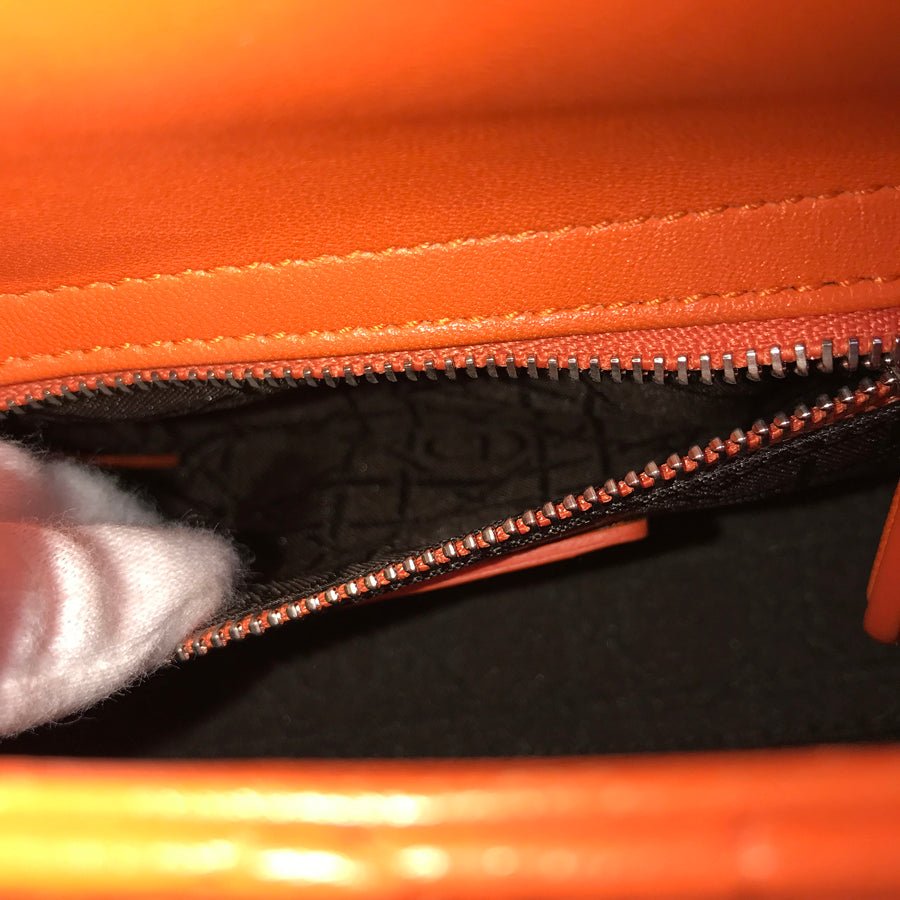 Dior Lady Dior mini Hand bag