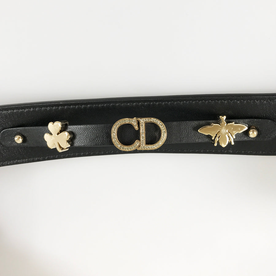 Dior Canage My Lady Dior Hand bag