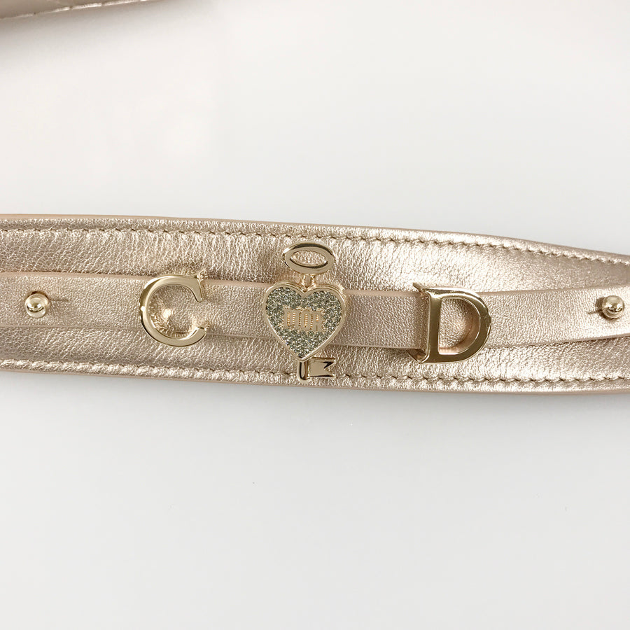 Dior Lady Dior My ABC Dior Small Cannage Hand bag