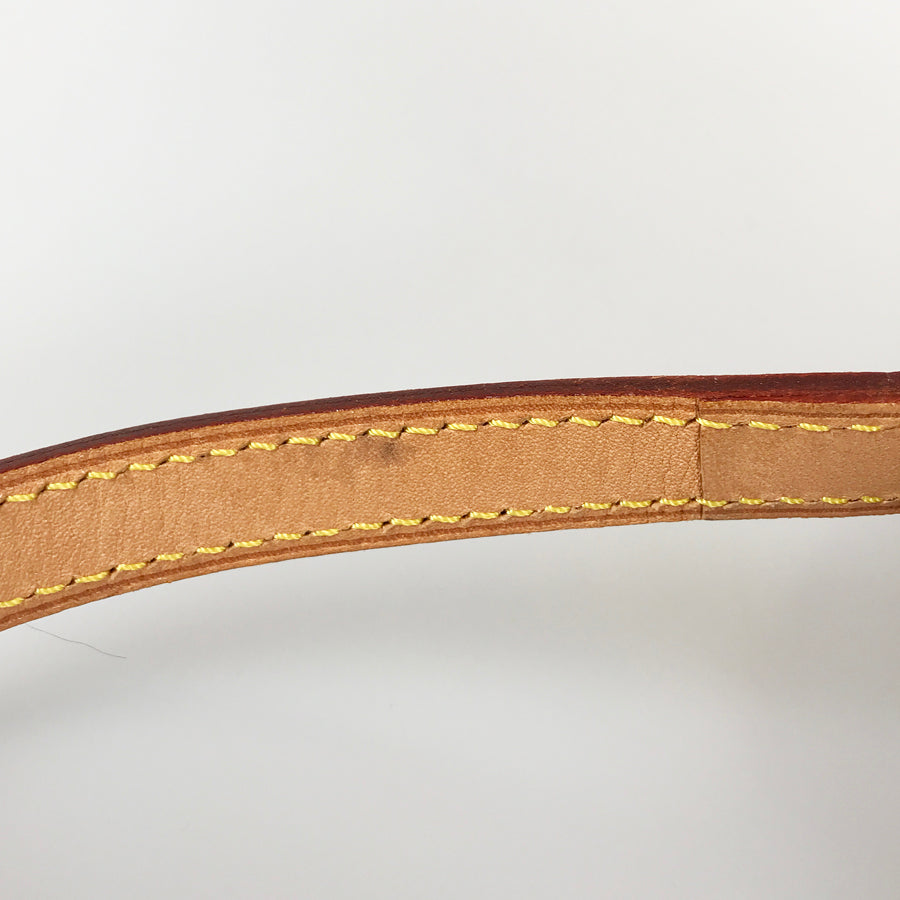 LOUIS VUITTON Monogram Blower M51221 Shoulder bag