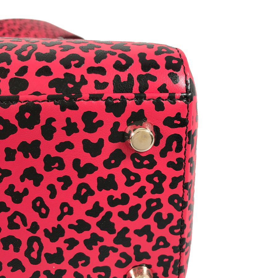 Dior Lady Dior Medium Leopard Hand bag
